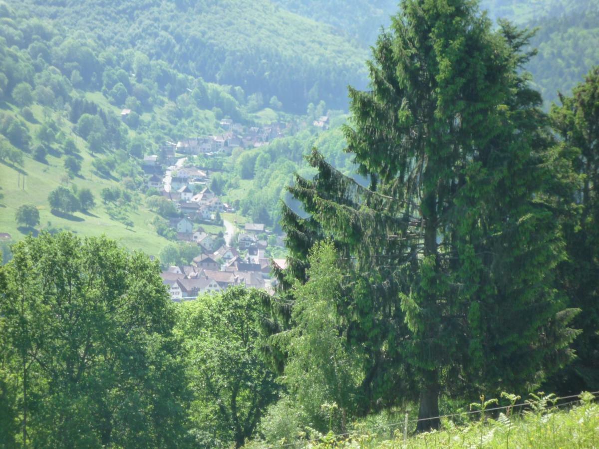 Maison D'Hotes Du Landersbach Sondernach 外观 照片